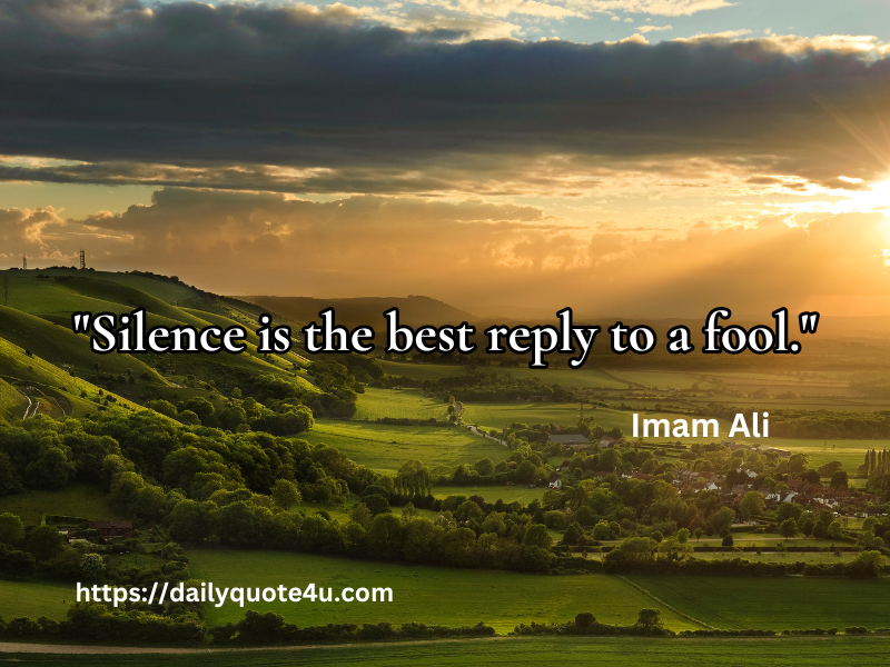  Saying of Imam Ali - "Best response to a fool is silence."